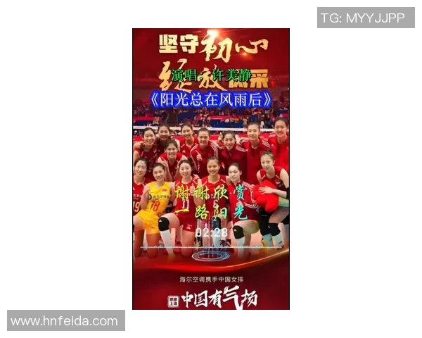 在排球场上绽放光彩：陈静的奋斗与梦想之旅